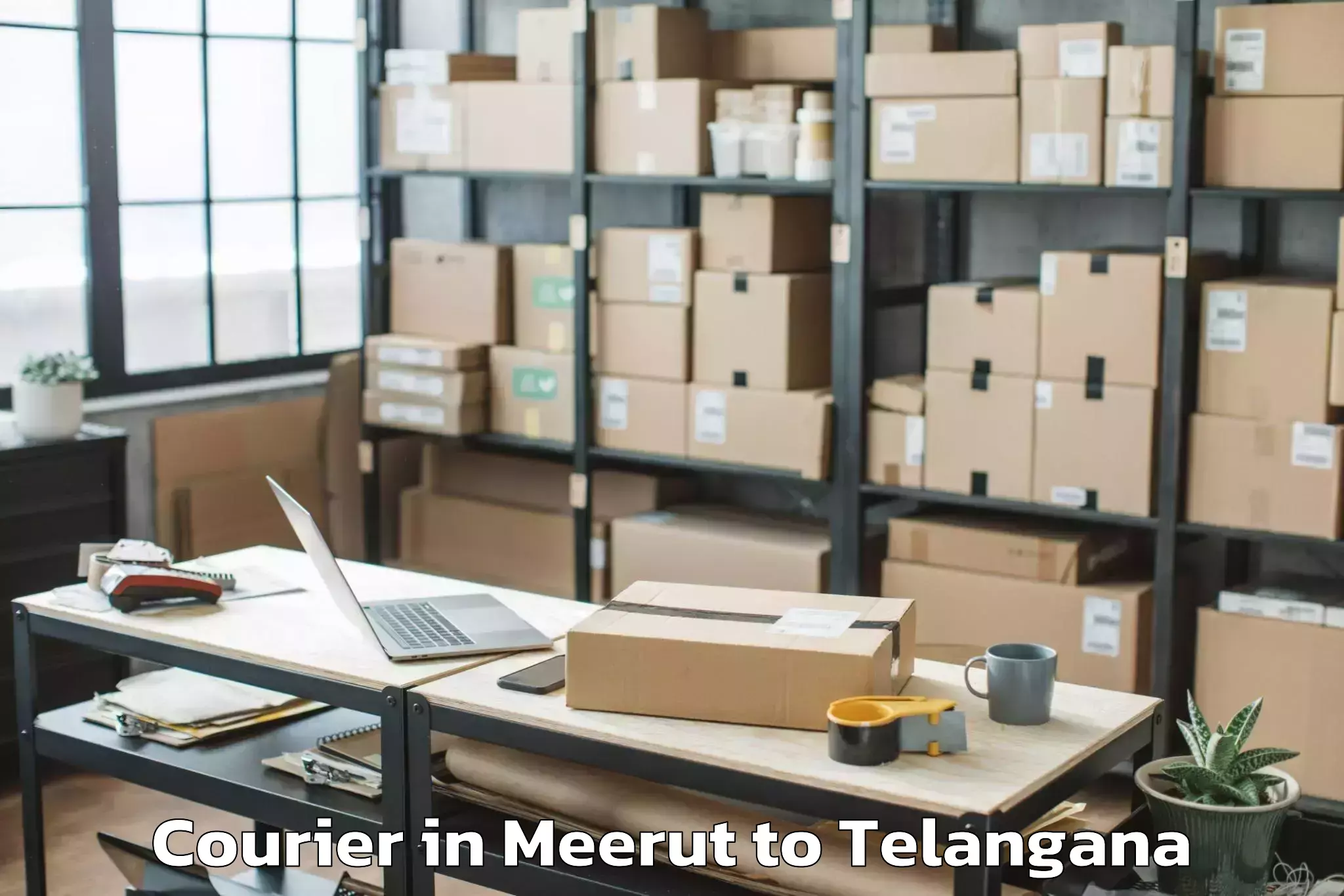 Easy Meerut to The English And Foreign Langua Courier Booking